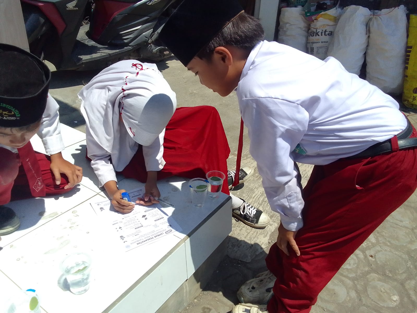Praktek Fotosintesis Kelas 4A